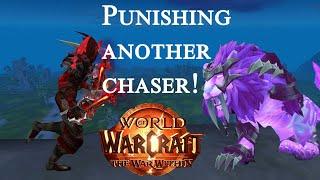 PUNISHING ANOTHER CHASER! - Feral druid pvp the war within 11.0.5