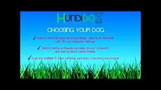 Choosing Your Dog