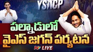 YS Jagan Live : పల్నాడులో జగన్ పర్యటన | YS Jagan Consoles Nagamalleswara Rao Family | NTV Telugu