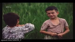 Bashu, the Little Stranger