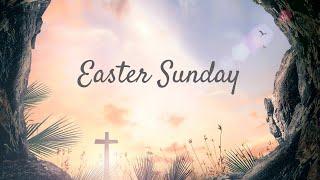 St  Anastasia Easter Mass April 12, 2020