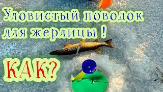 ПОВОДОК для ЖЕРЛИЦЫ? КАКОЙ? Самый уловистый поводок для зимней рыбалки #жерлицы #поводок #рыбалка