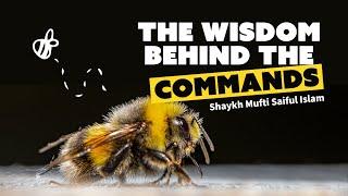 The Wisdom Behind the Commands | Shaykh Muftī Saiful Islām