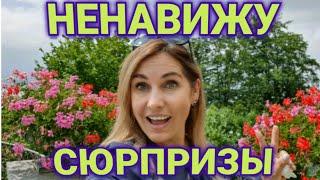 как отметить день рождения в Швейцарии | романтика| сюрприз #1