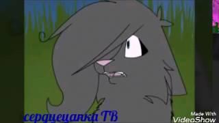 Пепелица и огнезвезд       для :Белка - Squirrelflght