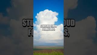Learning to Interpret Natural Weather Signs