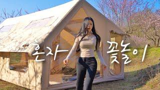 ️땀 범벅된 초대형 투룸 에어텐트 혼자 설치하기｜강아지와 호텔보다 아늑한 투룸 에어텐트에서 장어덮밥 먹기｜드론이 담아낸 복사꽃