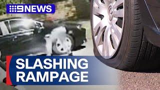 Tyres slashed by mystery man in Sydney rampage | 9 News Australia