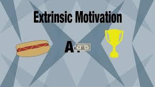 Extrinsic vs Intrinsic Motivation