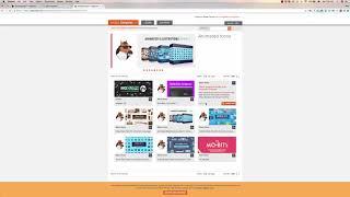 BizAnimatePro Overview