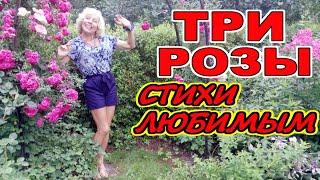 О любви. О надежде. Стихи "Три розы". Читает автор Ирина Зорина-Заря