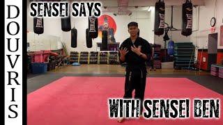 Sensei Says - DOUVRIS ORLEANS