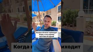 Моя любимая экскурсия в Египте летом