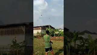 #SHORT | Seret Abis Layangan Habis !? | Adu Layangan Bro !!
