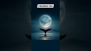 #metawhale #metaforce #digitalrabi #cryptocurrency #CES #whalebit