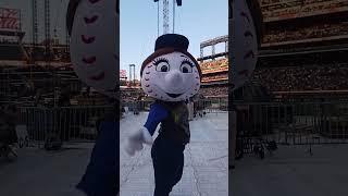 Howdy Mrs. Met  ⭐️