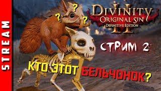 Стрим | Divinity: Original Sin 2. Черный кот или белка на коте? Часть 2. (EFP)