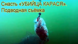 Снасть «УБИЙЦА КАРАСЯ». Подводная съемка, рыбалка. Ловля карася на озере Карасун. Fishing