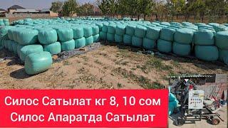 Силос Сатылат кг 8-сом, 10-сом  Силос Апаратда сатылат тел:0555160569