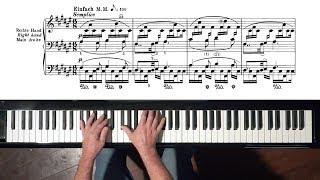 Schumann Romance Op.28 No.2 (take 2) Paul Barton, FEURICH piano