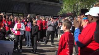 TAG "2014 Quad Cities Heart Walk"