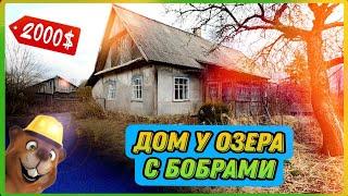 Хутор у озера. Обзор дома с бобрами. Тихое уютное место. Недвижимость на Браславских озёрах. #хутор