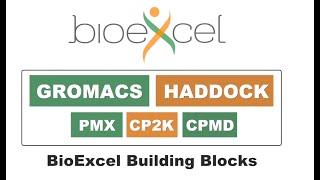 Recent developments and impact of BioExcel