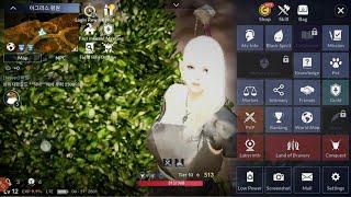 Black Desert Mobile New Patch Translate English