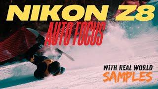 Nikon Z8 - Auto Focus Review with real world samples