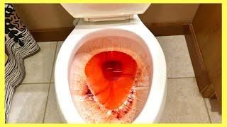 8 Toilet Cleaning Hacks for Lazy People!! | Andrea Jean