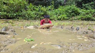 Harvesting Fish At The Pond - Sell Fish - Make Drainage Pipes For Fish Ponds