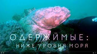 Одержимые. Ниже уровня моря.