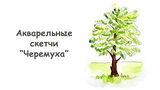 Как нарисовать цветущую Черемуху ?/ Урок по рисованию для начинающих от more-art.ru