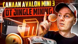 Майнер - Canaan Avalon Mini 3 От Jingle Mining. Разбираемся с новым майнером!