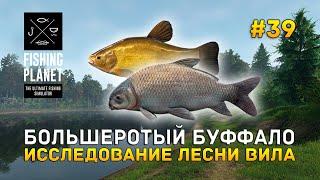 Большеротый Буффало. Исследование Лесни Вила - Fishing Planet #39