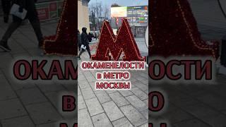 ОКАМЕНЕЛОСТИ В МЕТРО Ⓜ️ Электрозаводская (Москва), есть ли тут динозавры?