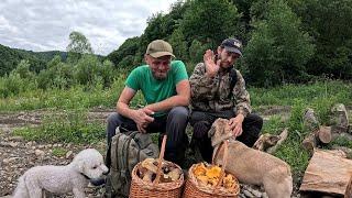 ЙО..Треба БАЧИТИ!..Гриби у Романа. Закарпаття, МЕГА ЗБІР ГРИБІВ!