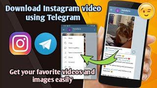 How to download Instagram video on Telegram