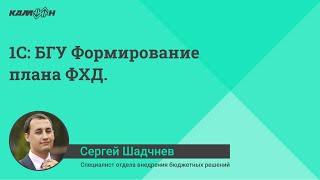 1С:БГУ Формирование плана ФХД