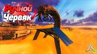 Украл червя смерти | Выживание | ARK: Survival Evolved