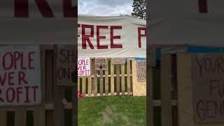 UCLA students set up their own ‘Free Palestine’ encampment