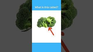Vegetables Names  #englishvocabulary #englishvocabularyforbeginners #englishwords #shorts #quiz