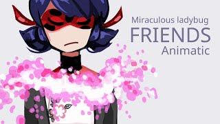 FRIENDS - Miraculous ladybug Animatic