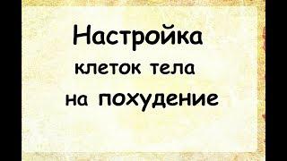 Настройка тела на похудение. Автор lee.