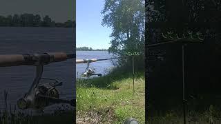 #утро на природе