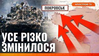  РОЗГРОМ ПІД ПОКРОВСЬКОМ: що реально відбувається