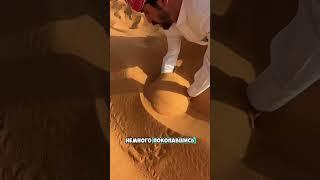 Очень редкое животное в пустыне 