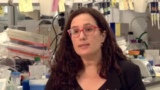 Glaucoma Research Update: Anna La Torre, PhD on Restoring Vision