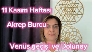 11 Kasım Haftası Akrep Burcu ve Yükselen Akrep Burçlarını Neler Bekliyor?