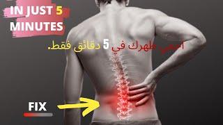 LOWER BACK EXERCISES (just 5 minutes)-تمارين ظهر